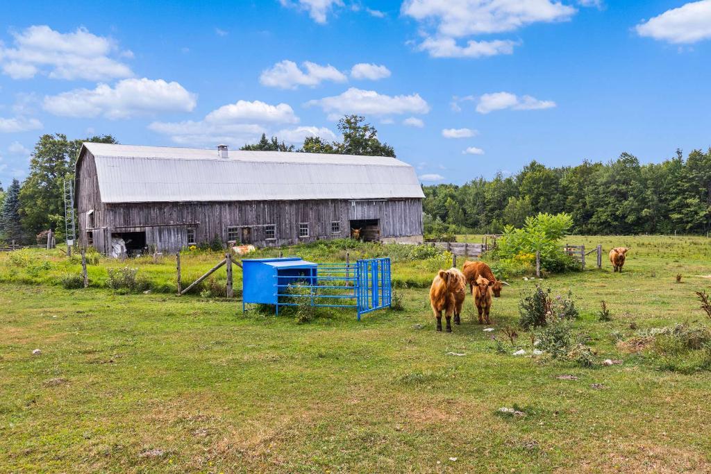 Montérégie: bleuetière + érablière, 44,03 ha avec grange et petit chalet de chasse | Une propriété pittoresque à découvrir! | 3222824