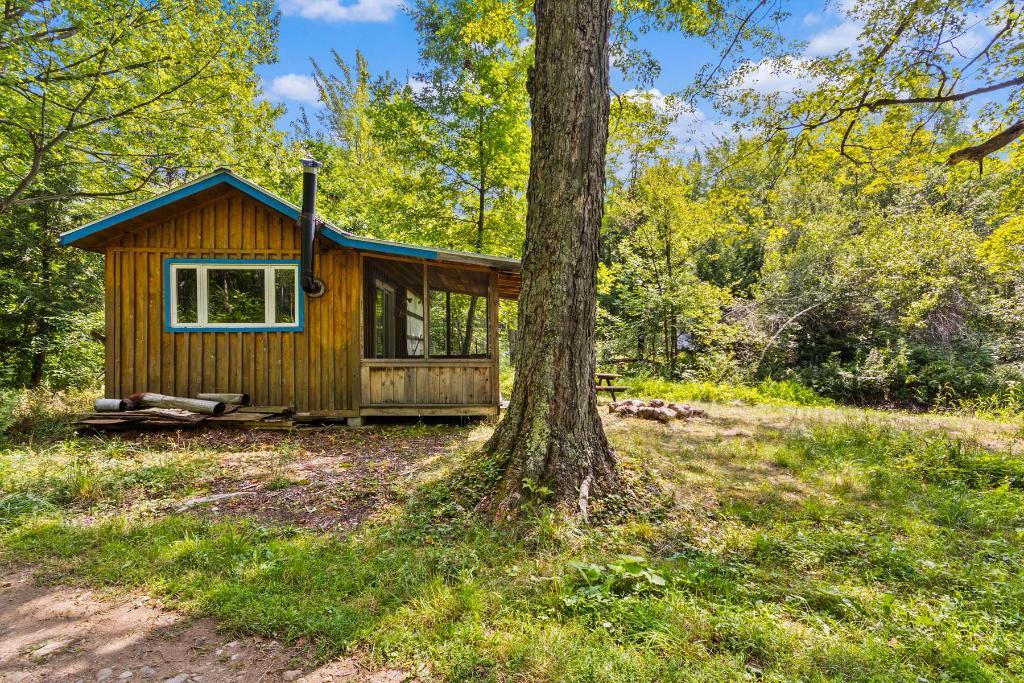 Montérégie: bleuetière + érablière, 44,03 ha avec grange et petit chalet de chasse | Une propriété pittoresque à découvrir! | 3222824