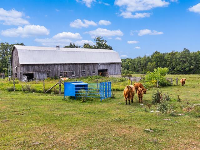 Montérégie - Domaine agricole production de bleuets et érablière sur 44,03 ha | Bâtiments : grange et petit chalet de chasse, à voir! | 3222826