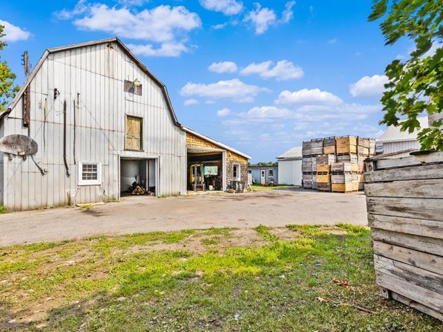 Montérégie: verger et érablière sur 35,20 ha avec bâtiments agricoles fonctionnels | Terrain pente légère, drainage naturel, puits artésien | À voir! | 3222827