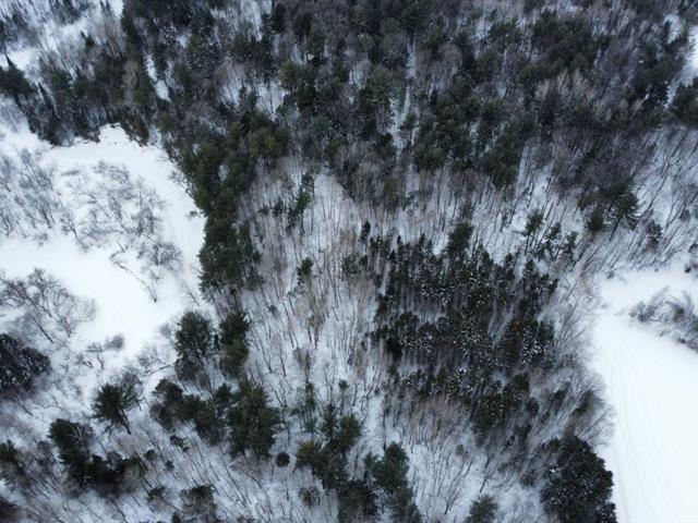 St-Pie-de-Guire (Centre-du-Québec) : Terre agricole de 179 acres, 91 acres cultivables, forêt, rivière, grange et garage | 3222831