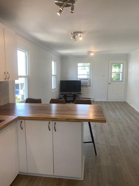 2 1/2 LOFT COMPLÈTEMENT RÉNOVÉ (HYDRO INCLUS) | 3211361