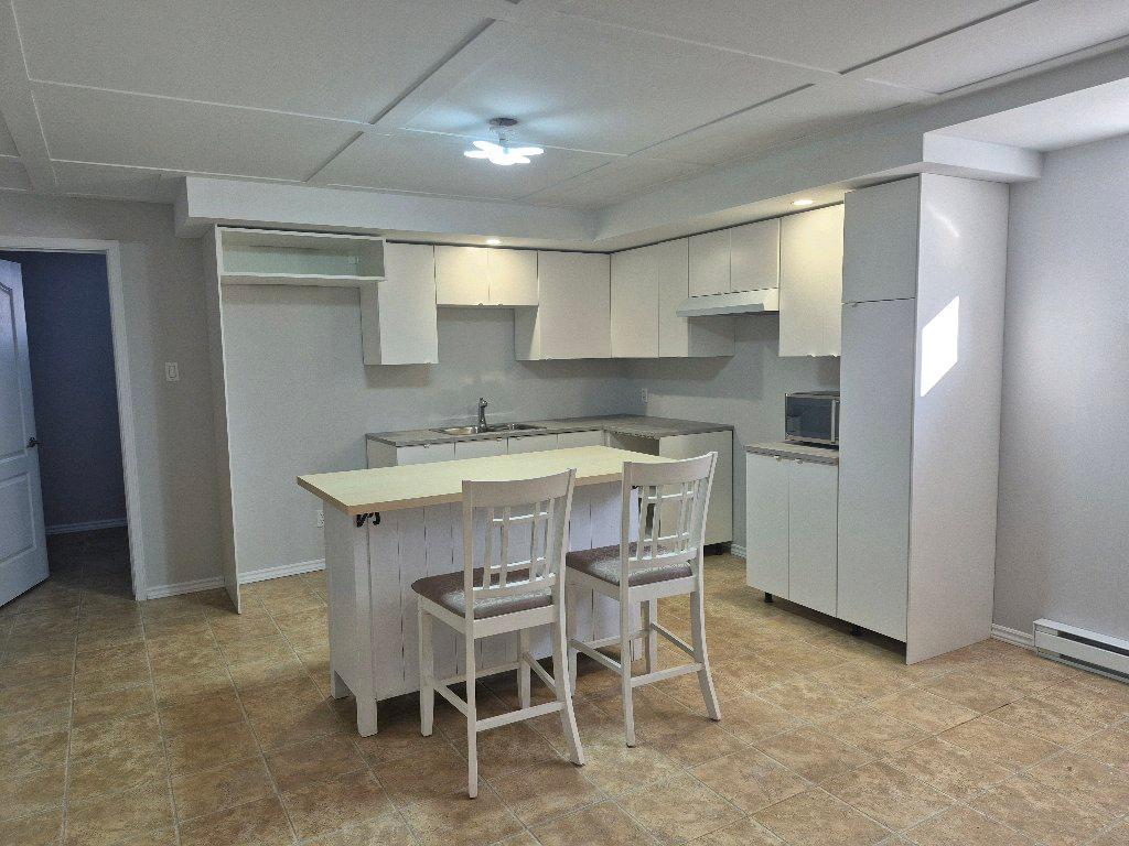 Grand 3 1/2 chauffé, éclairé, internet | 3212771