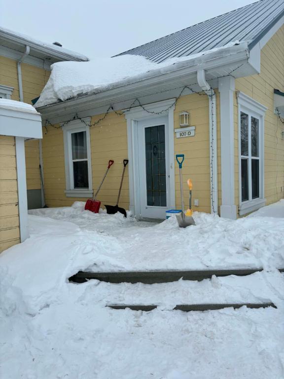 Libre le 1er août - Spacieux 5 1/2 à St-Isidore en Beauce | 3211385