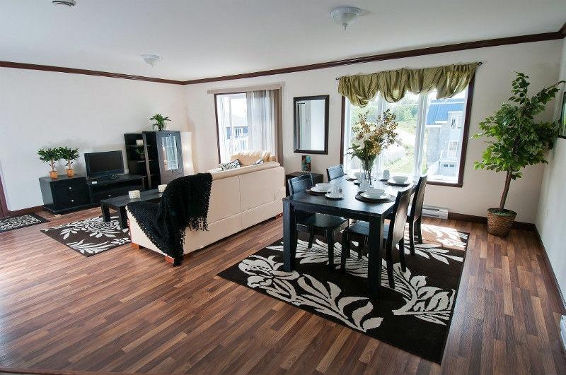 Beau grand 5 1/2 Récent STYLE CONDO Disponible le 1 Juillet 2026 | 3211431