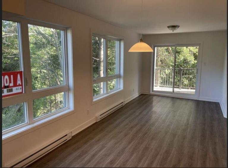 4 1/2 À LOUER-SAINT-CHARLES-BORROMÉE-APPARTEMENT À LOUER | 3211439