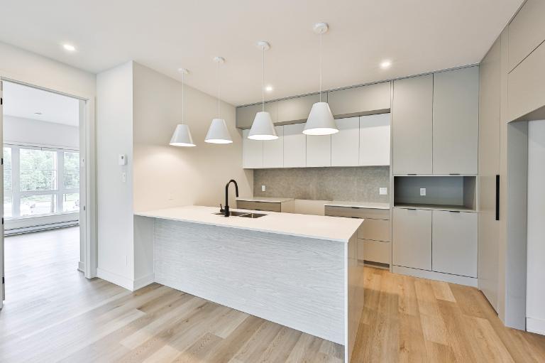 3 CH - 1 SDB - Sainte-Agathe-des-Monts - $1,850 /mo | 3211480