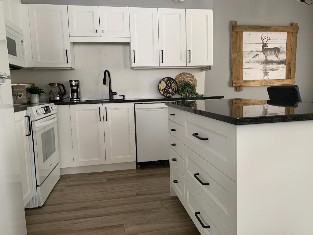 4 1/2 condo meublé Laurentides, disponible Mai-Nov 2026 | 3211481