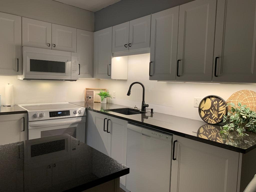 4 1/2 condo meublé Laurentides, disponible Mai-Nov 2026 | 3211481