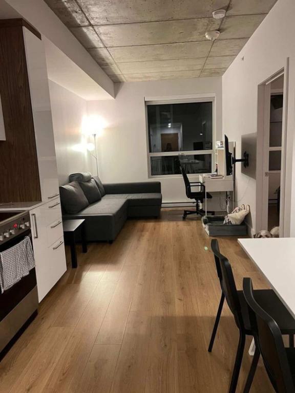 Appartement 3 1/2 (520 pi2) | 1 chambre et 1 sdb (Reprise de bail) (Downtown Montréal) | 3211537