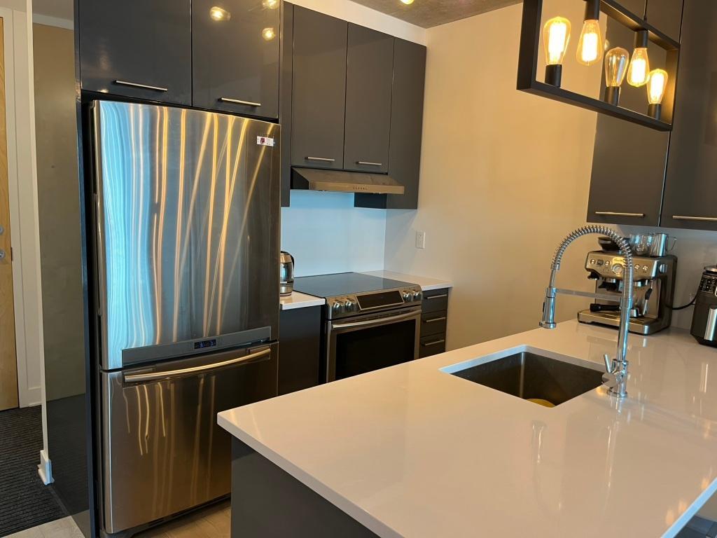 2-bedroom Apartment for rent - 4 1/2 à Louer - Griffintown | 3211555
