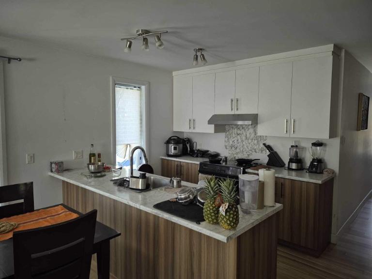 2 CH - 1 SDB - Québec - $1,497 /mo | 3288827