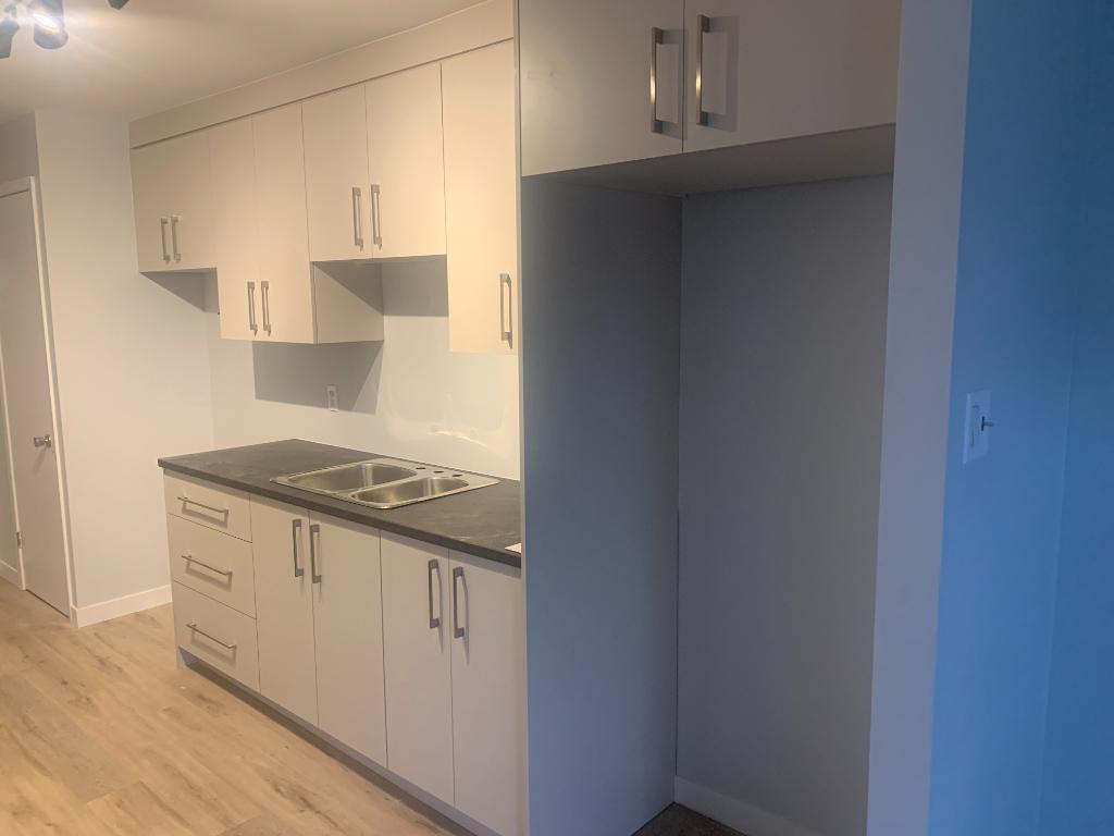 4.5 centre-ville Victoriaville | 3212776