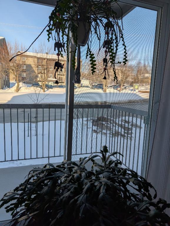 4 ½ à louer – Magog – Libre 1er avril 📍 229 rue Calixa-Lavallée, Magog Beau 4 ½ lumineux et bien entretenu situé dans un quartier tranquille et séc | 3212790