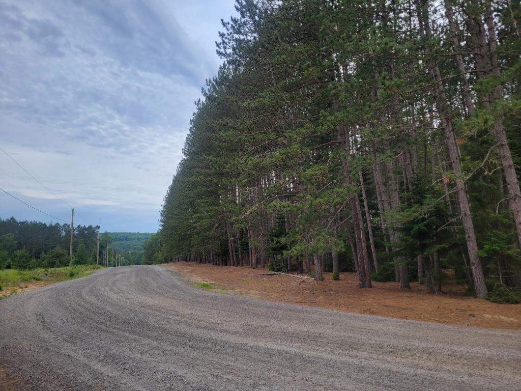 Magnifique Terrain à Rivière-Rouge | 3224888