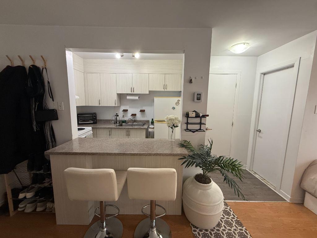 2 ½ studio, à louer, Laval (LDR), tout inclus, libre 1ier juillet à pied métro cartier | 3215168