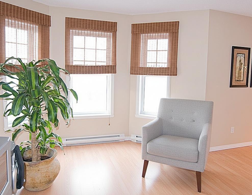 ✨ Magnifique 4 ½ Confort, tranquillité et lumière ! | 3212917