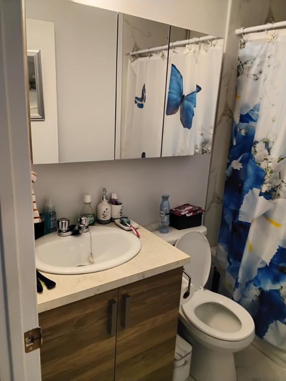 4 1/2 refait à neuf et libre le 1er juillet | 3212918