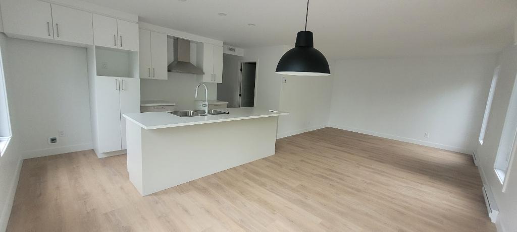 GRAND 4 ½ à louer près des ponts | 3212932