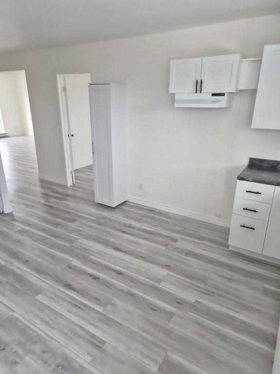 41/2 tou rénové , tout propre | 3212949