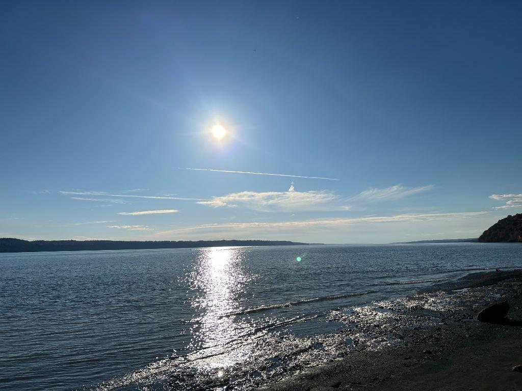 Appartement 60 pieds bord du fleuve rue privée pleine nature Saint Augustin de Desmaures | 3212959