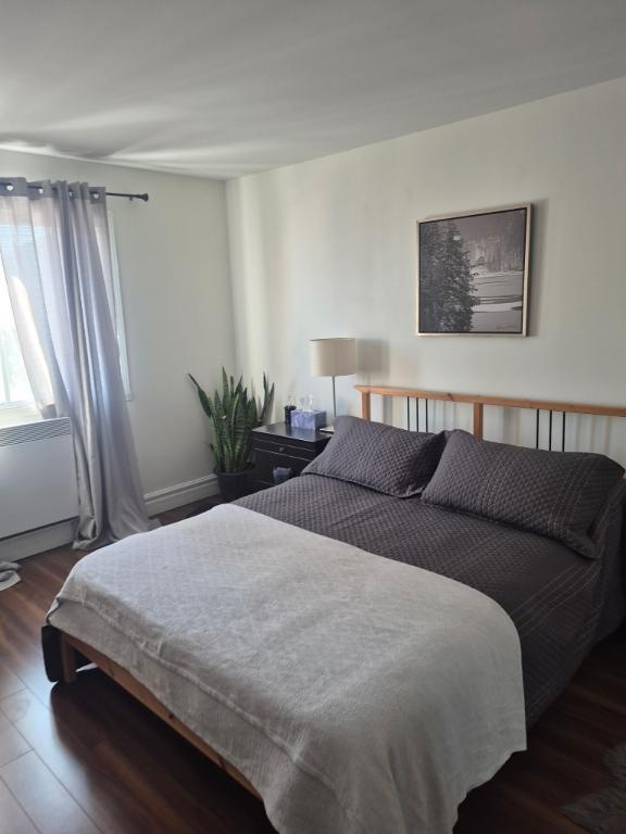 4 1/2 à louer à Mont Saint Hilaire | 3215240