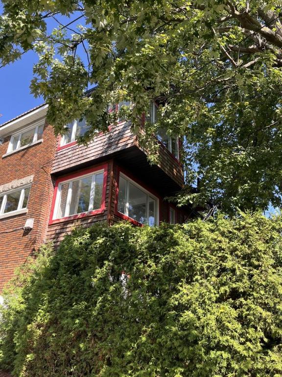 4 1/2 - Montréal (Hochelaga / Maisonneuve) - 2 200 $/mois | 3215247