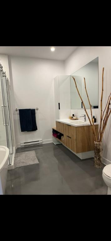 Grand 4 et demi+ bureau avec électroménagers inclus | 3215261