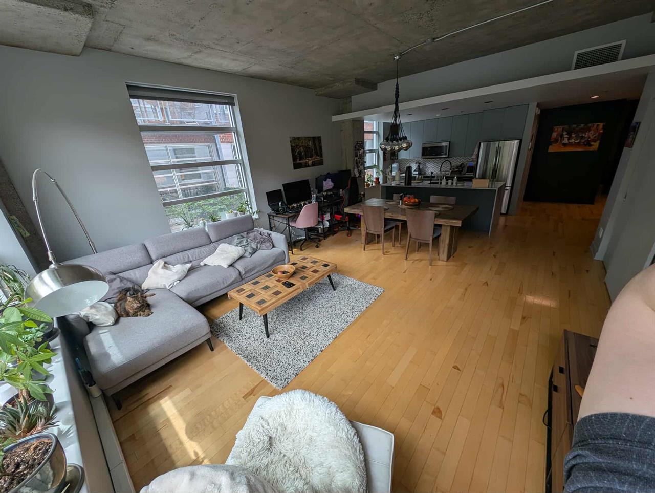 Montréal – Villeray – Petite Italie – Superbe condo 4 1/2 à louer | 3215486