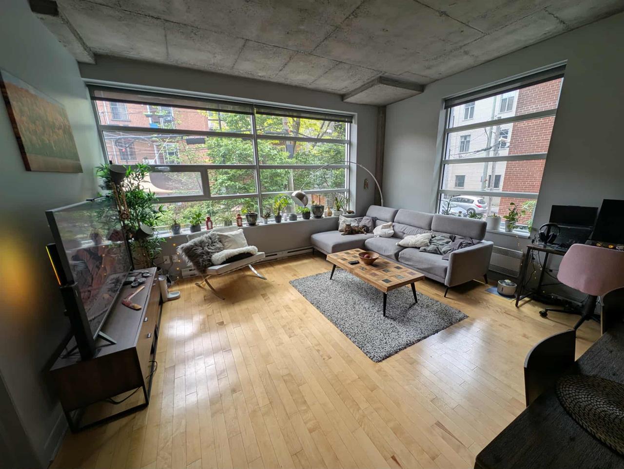 Montréal – Villeray – Petite Italie – Superbe condo 4 1/2 à louer | 3215486