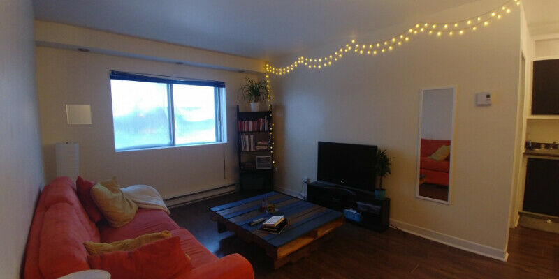 Plateau Mont-Royal – Grand logement 3 1/2 aire ouverte à louer | 3215493