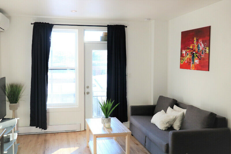 Plateau Mont-Royal – Charmant logement 3 1/2 à louer | 3215500
