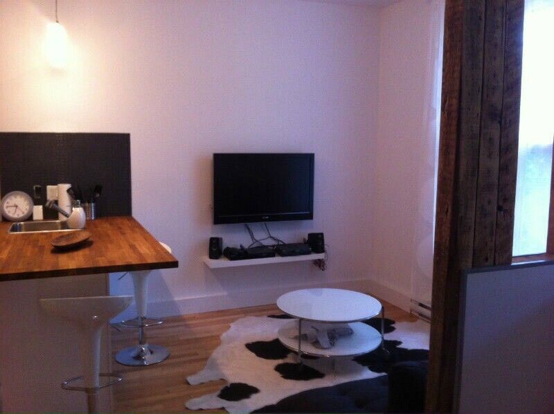 Rosemont – Appartement 3 1/2 meublé à louer | 3215503