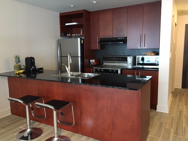 Montreal – Luxury condo in down town for rent | 3215561