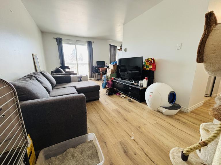 Appartement 4 ½ à louer Lévis juillet 2026 | 3215648