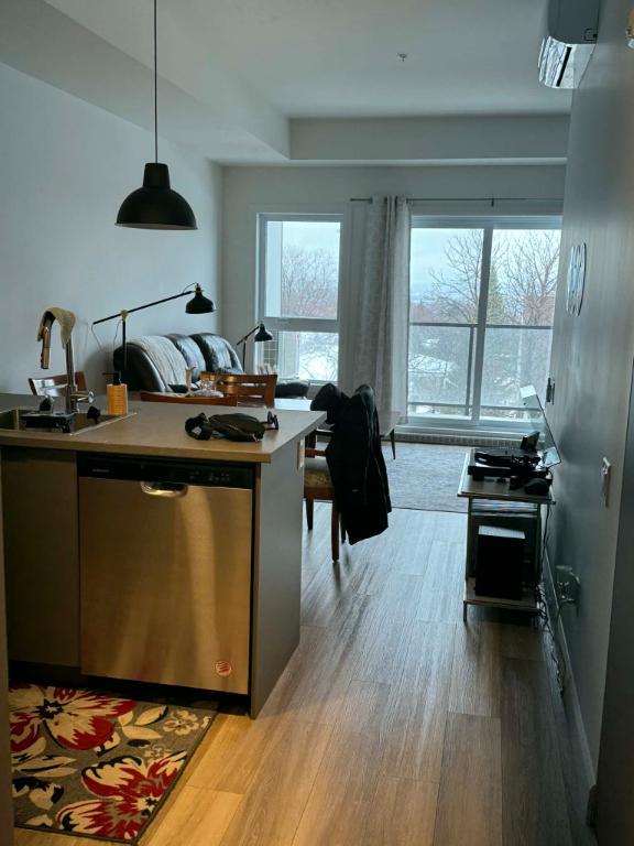 Logement 3 ½ Secteur Ste-Foy juillet 2026 (tout inclus) | 3226553