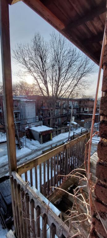 Cession de bail – Grand 3 chambres – Plateau-Mont-Royal | 3215745