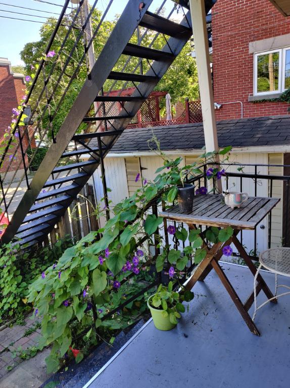 Superbe 5 1/2 en RDC avec jardin privé et terrasse – À 3 min du Métro | 3215778