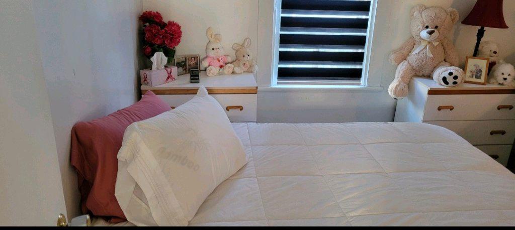 4 1/2 St Georges | 3215797