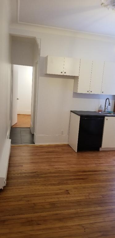 Plateau mont-royal, 4 ½ de 840 pieds carrés, rez-de–chaussée, à 2 minutes de marche du métro Mont-Royal ou Laurier | 3215828