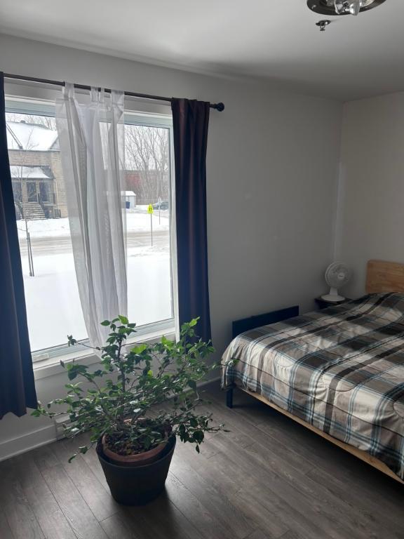 Superbe grand 3 1/2 Style Condo (Disponible immédiatement) | 3215832