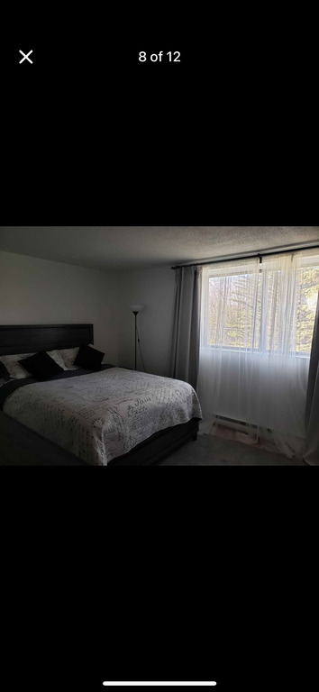 Chambre à Louer Hull | 3215883