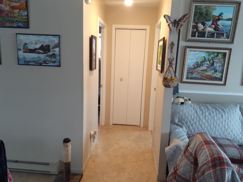 1er Juillet , Logement Lumineux | 3215906