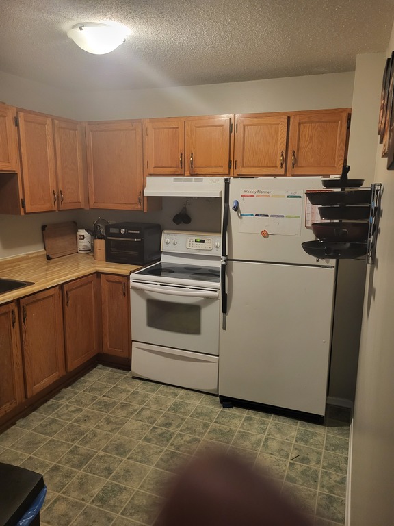 Recherche Coloc Dans Beau 4 1/2 | 3215978