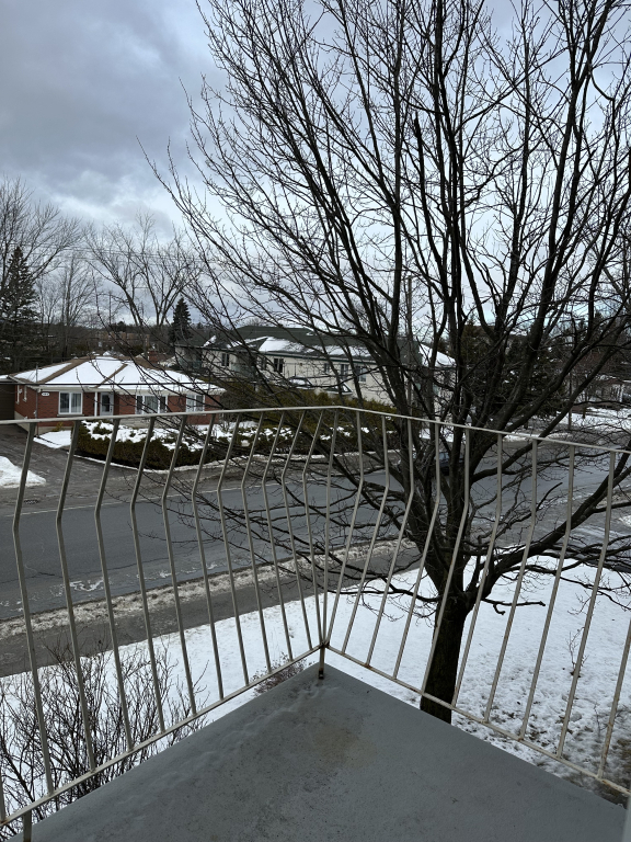 41/2 Central | 3216015