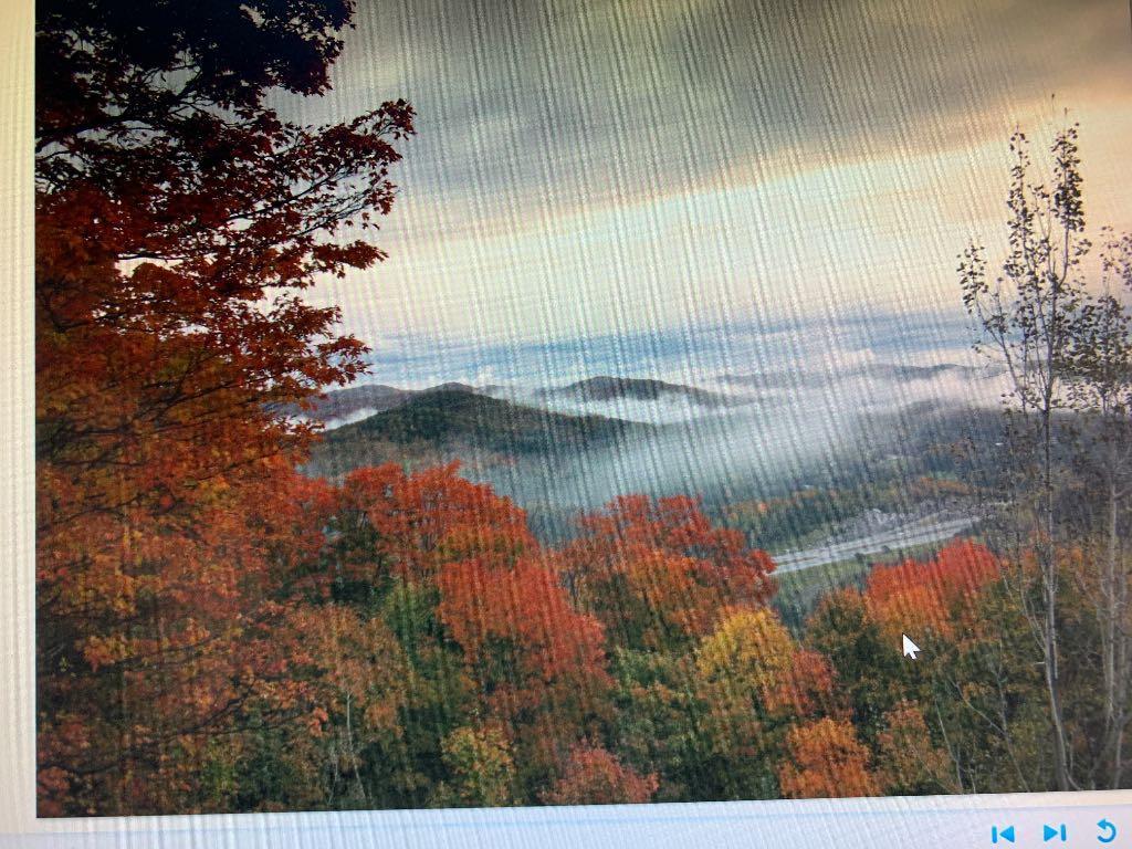 41/2 A louer Ste- Adèle | 3216096