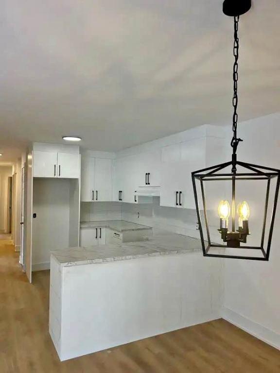 Grand 51/2, St hyacinthe secteur St-Rosalie | 3216102