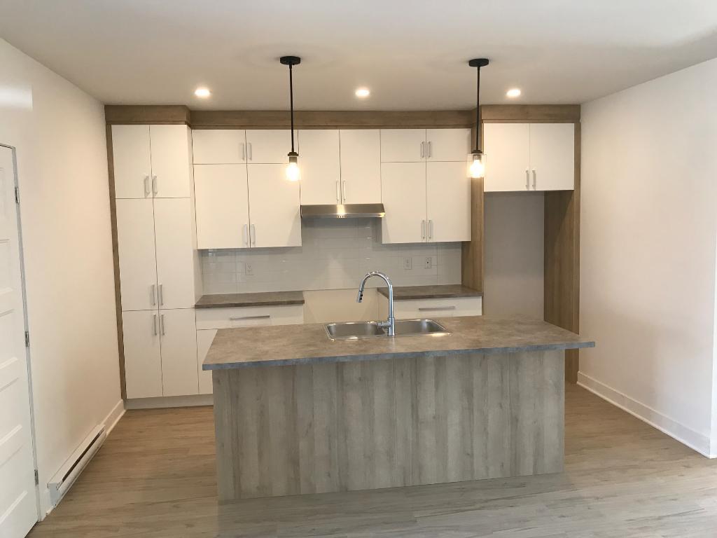 Vaste 4 1/2 de 1200 p2 à louer dans le Vieux Terrebonne | 3216111