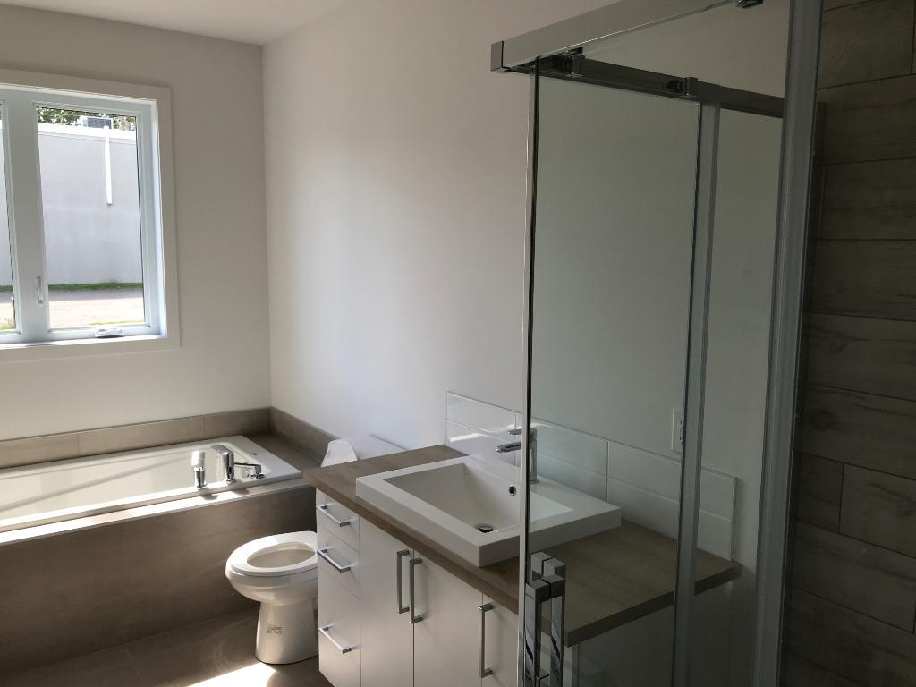 Vaste 4 1/2 de 1200 p2 à louer dans le Vieux Terrebonne | 3216111