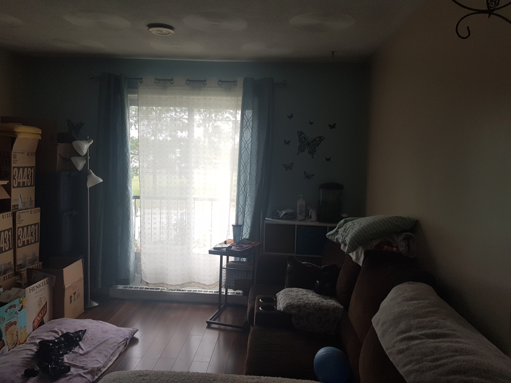 Un Beau 5 1/2 Completement Renové | 3216166